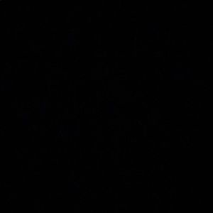 Meet your Posher, Sierra